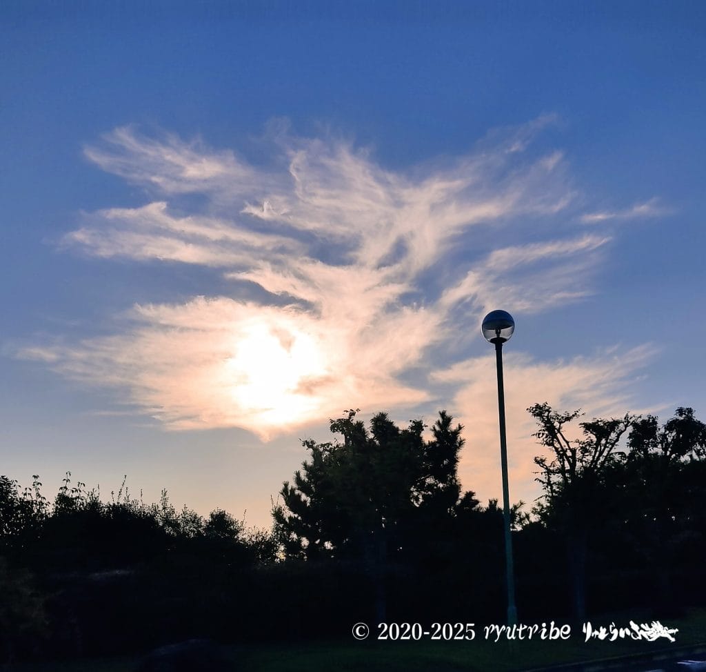 りゅとらいぶの龍雲（あきりゅ）